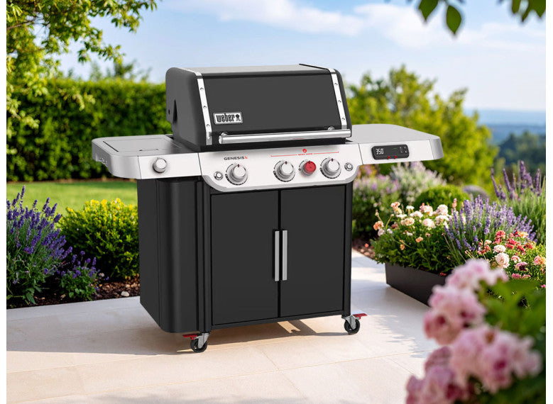 Barbacoa de gas Genesis EPX-335 - Weber